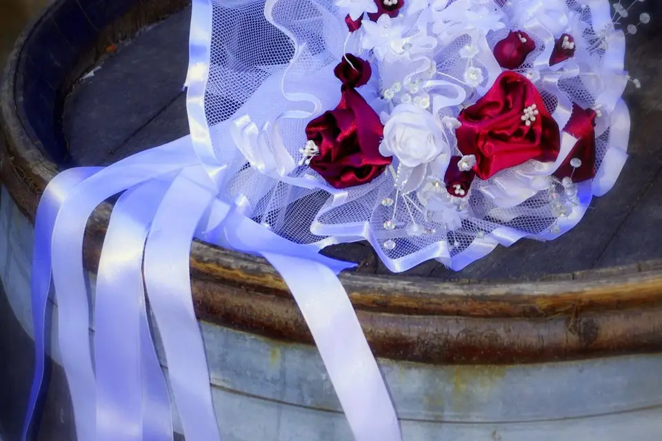 Ailer Photo — photo 1