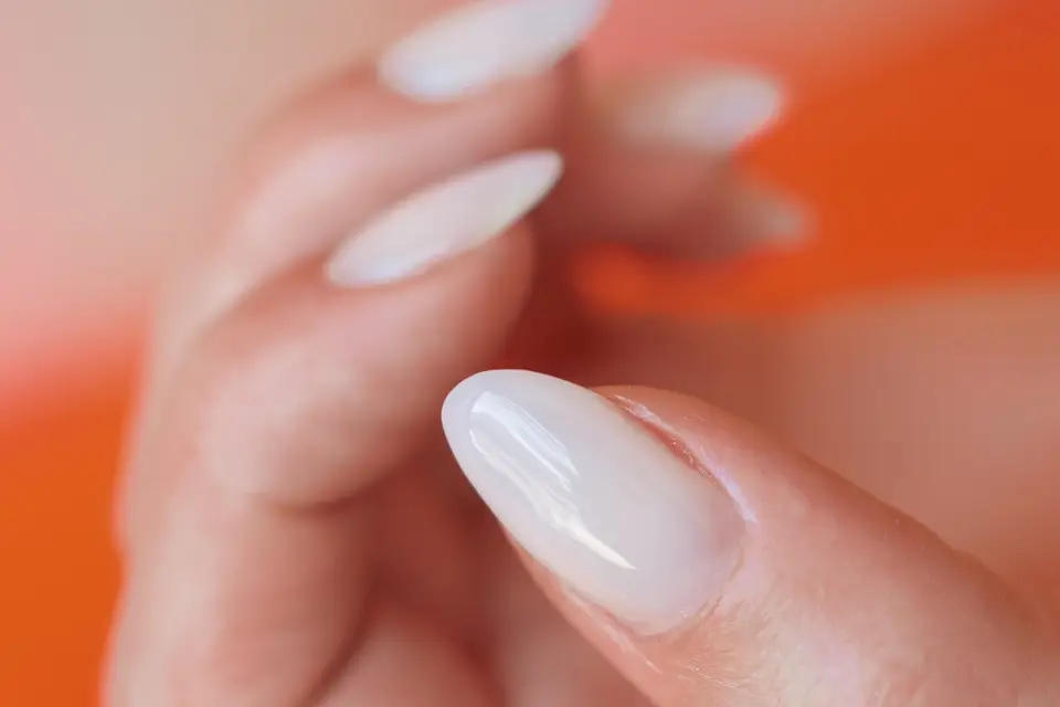 Studio 52 — photo 3