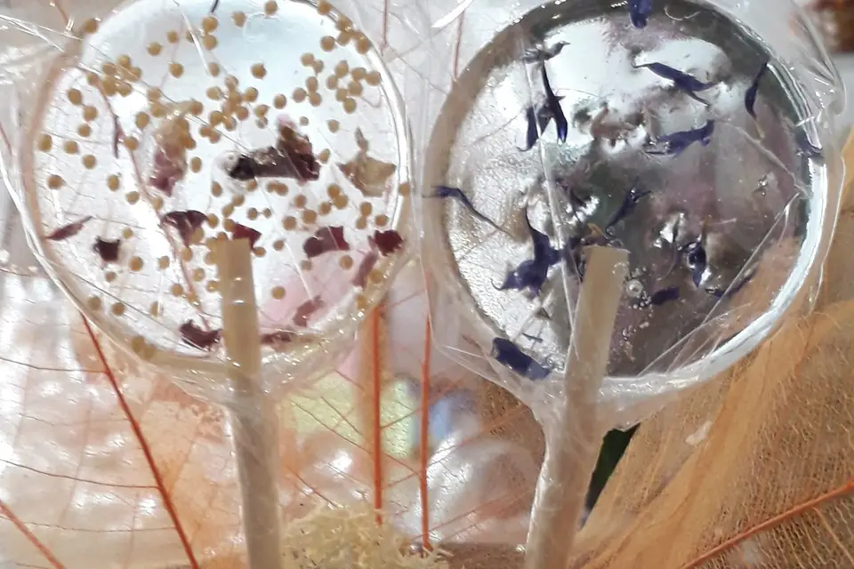 Dragées & Biscuits — photo 1