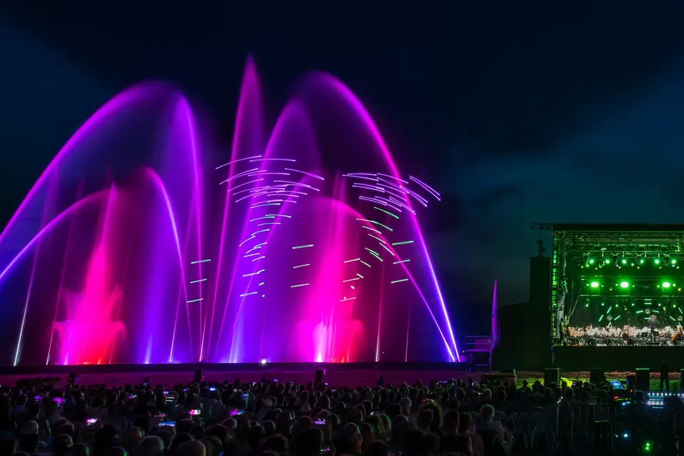 Diffuse Show — photo 3