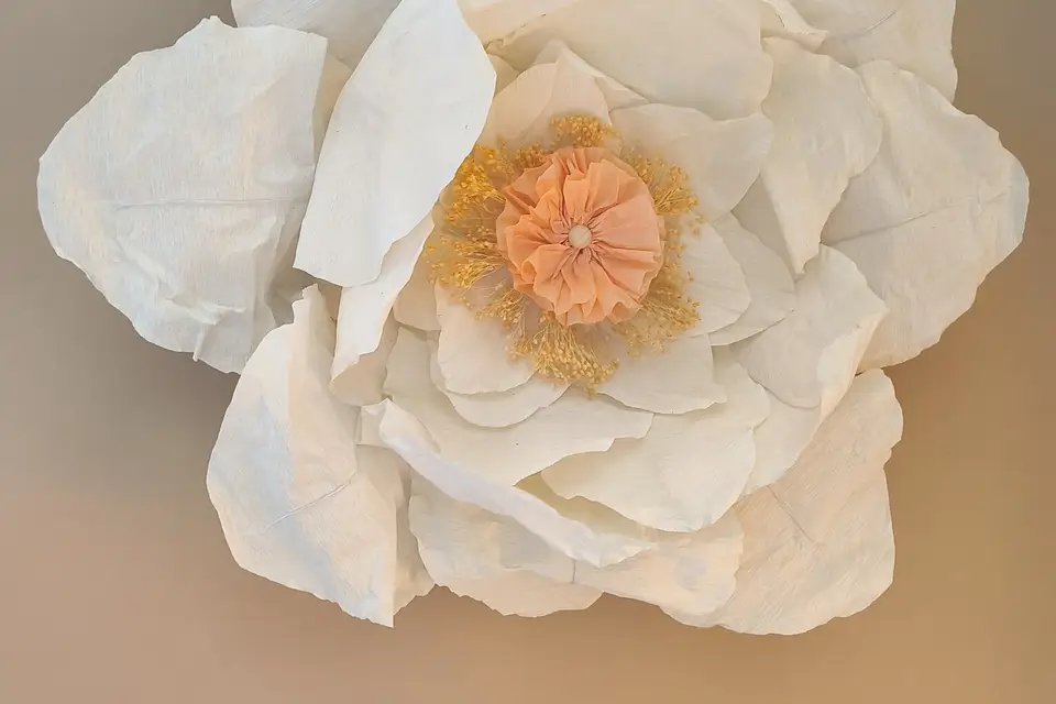 Emotion Déco — photo 6