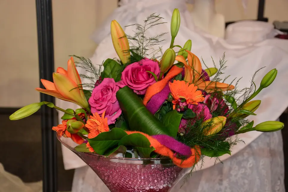 La cab'Anne fantastic' — photo 3