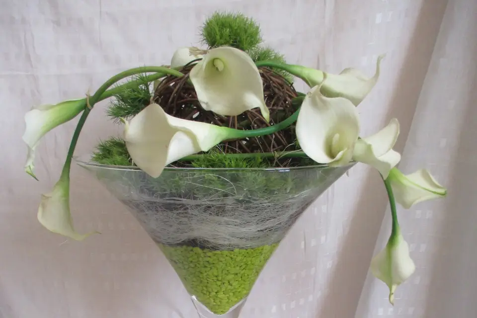 La cab'Anne fantastic' — photo 4