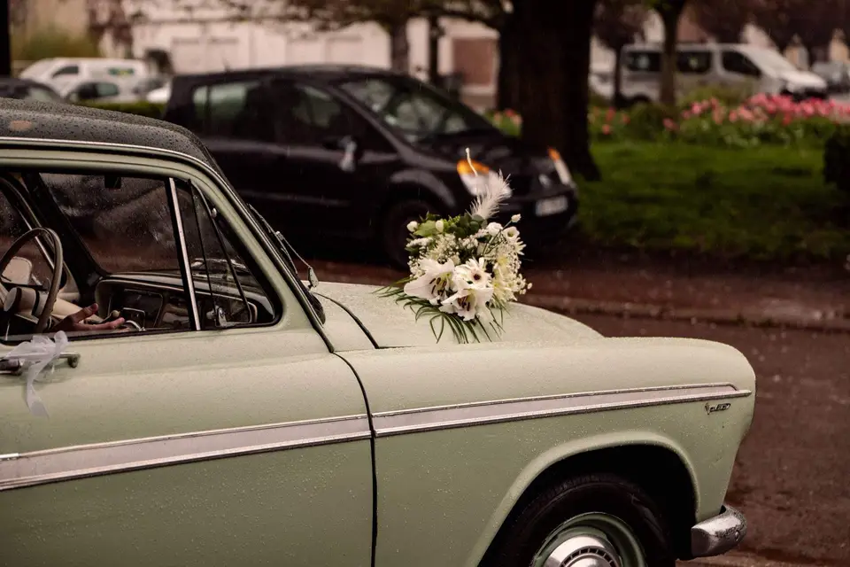 Guillaume Vermaelen — photo 4