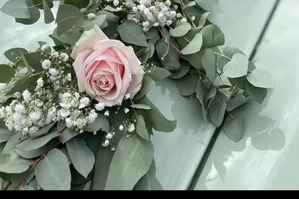 Guillaume Vermaelen — photo 6