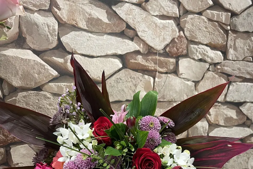 Pivoine & Cie — photo 7