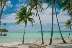 Noces Voyages — photo 6