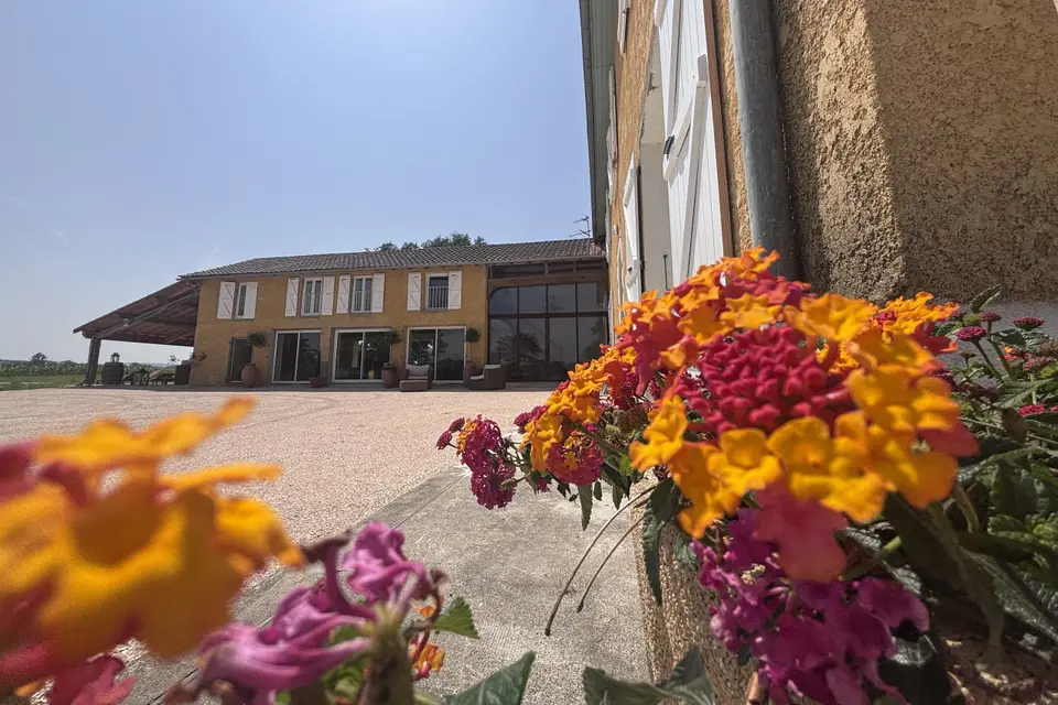 A Majesté — photo 1