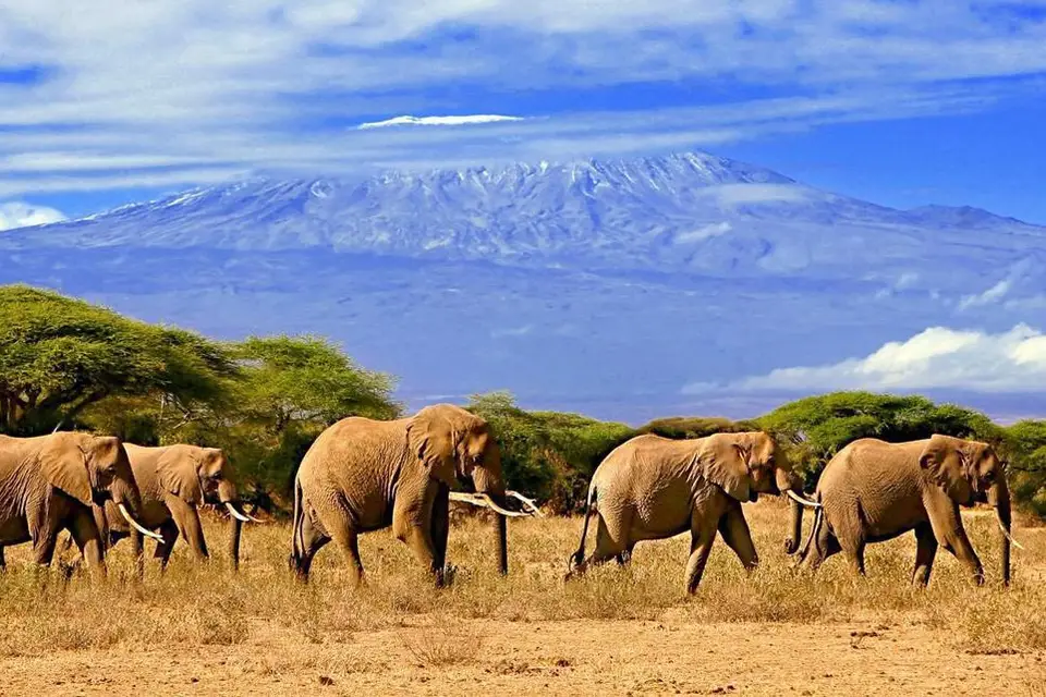 Ere Voyages — photo 7