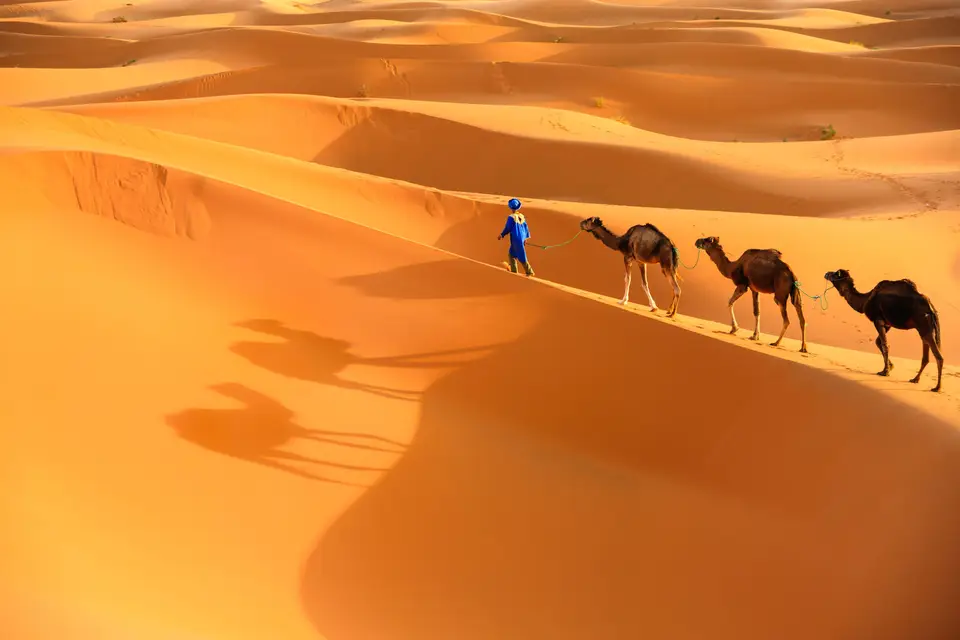 Ere Voyages — photo 6