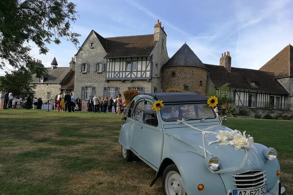 HD Music — photo 8