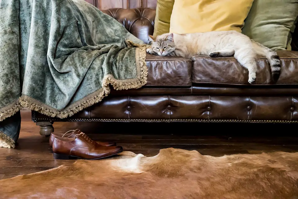 Apnphotographie — photo 3