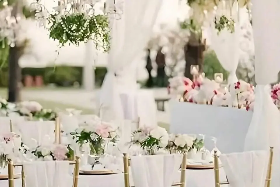 La Villa Blanche — photo 2