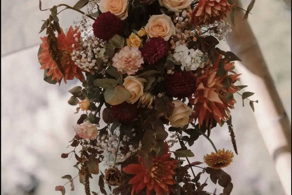 BSP Événement — photo 6