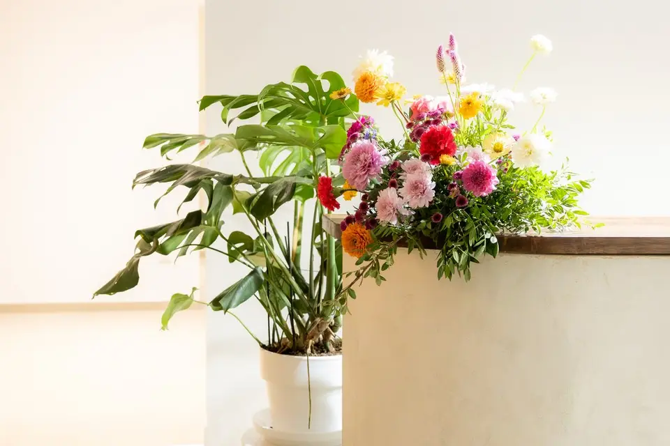 L'Orangerie du Domaine — photo 8