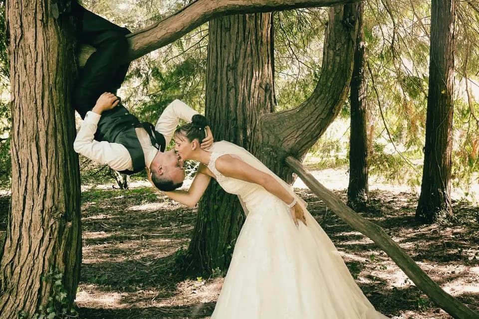 Cyoul CG — photo 2