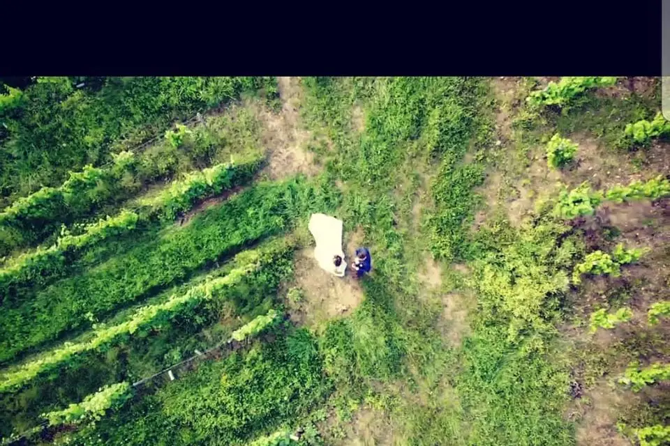 Capture Events — photo 8