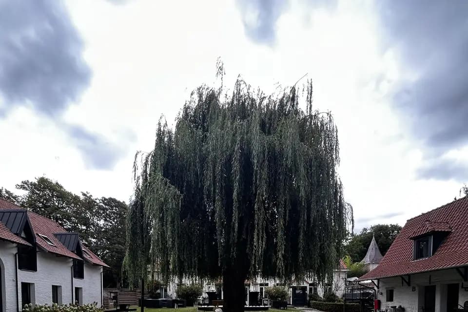 ACVD Events — photo 8