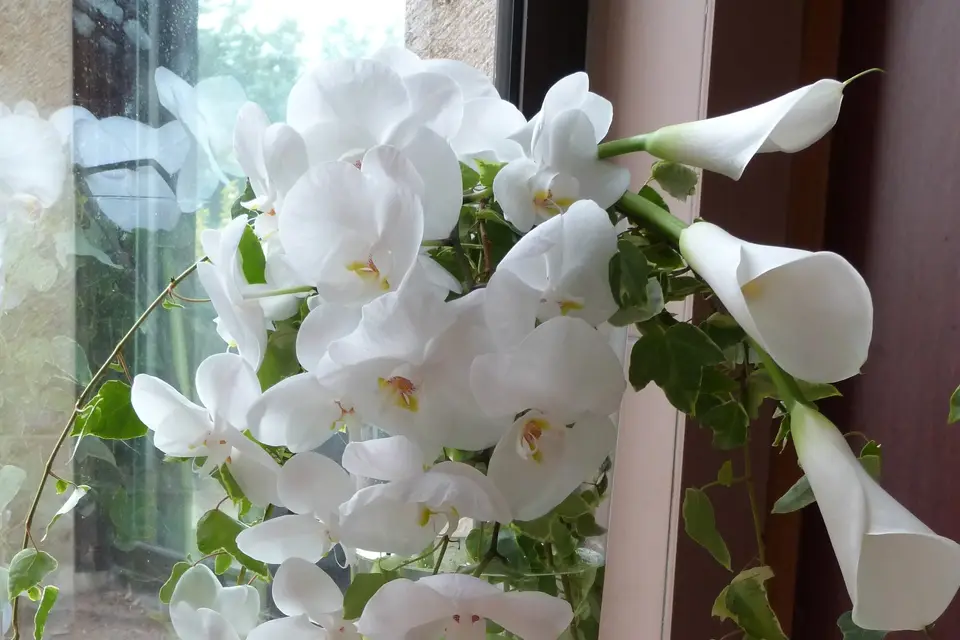 Charme et Tradition - Décoration d'événements — photo 4