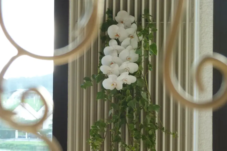 Charme et Tradition - Décoration d'événements — photo 5