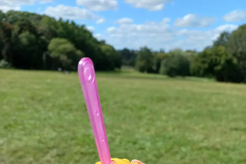 Mt Gourmandiz — photo 6