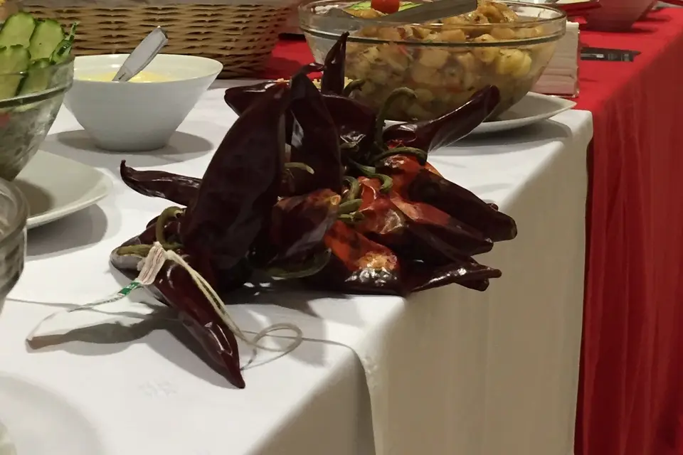 Stéphane Noël — photo 7