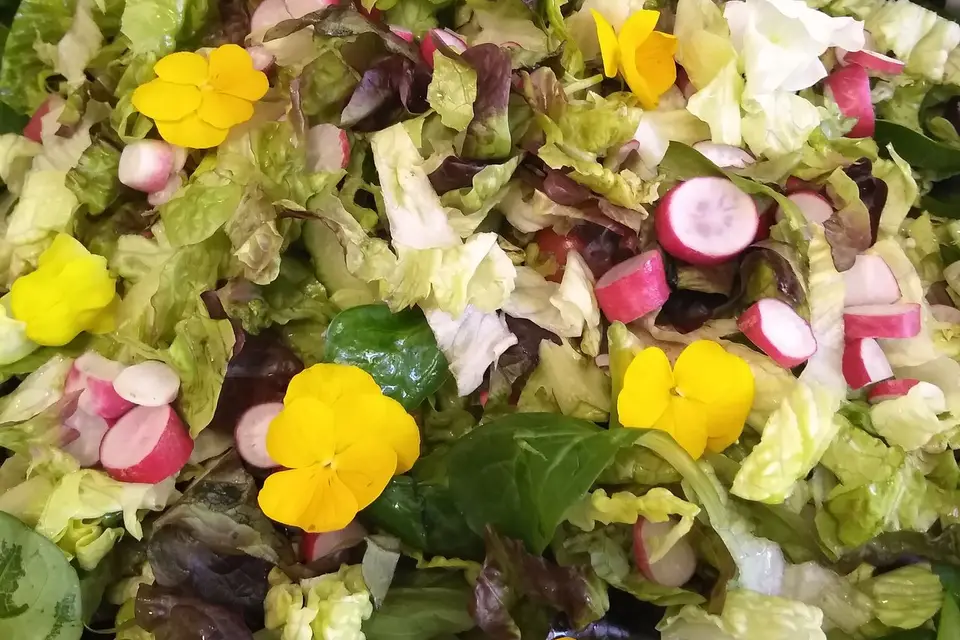 Le Jardin Culinaire — photo 8