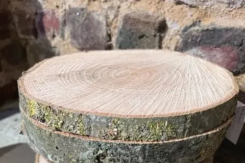 L'Atelier D'Alice — photo 5