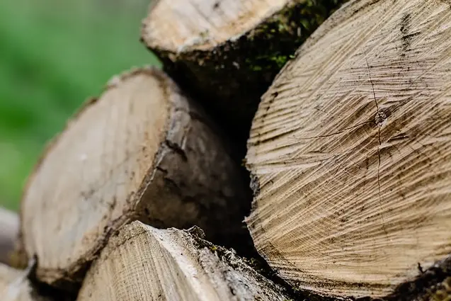 L'Atelier D'Alice — photo 2