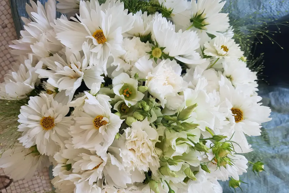 Les Fleurs du Marché — photo 2