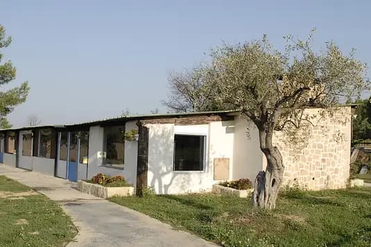 Manade des Oliviers — photo 1