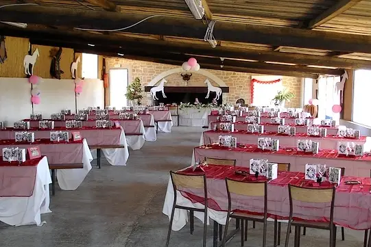 Manade des Oliviers — photo 4