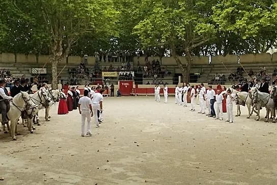 Manade des Oliviers — photo 6