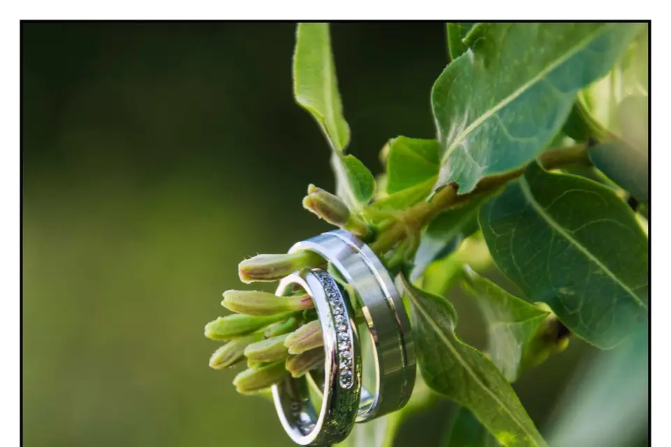 Lisya - Showroom Alliances — photo 9