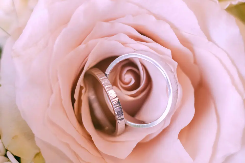 Lisya - Showroom Alliances — photo 7