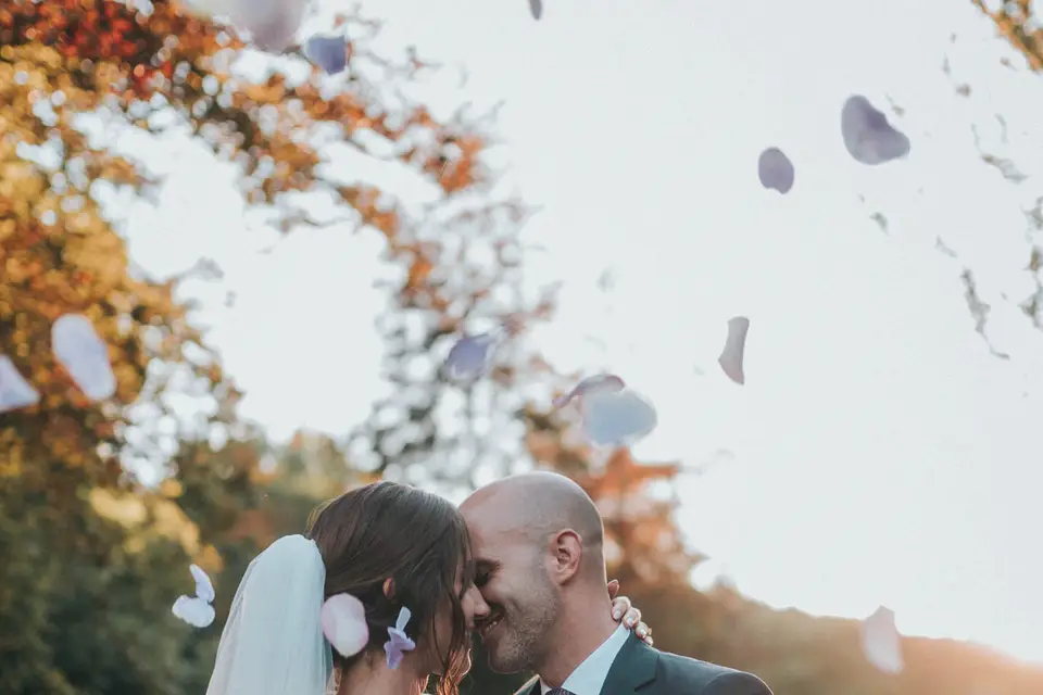 Cut Prod — photo 2