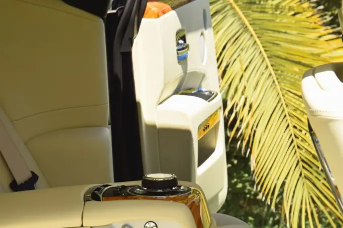 DG Riviera Limousine — photo 4