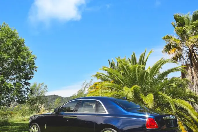 DG Riviera Limousine — photo 6