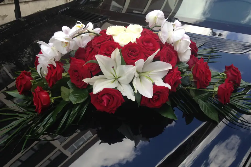 DS Global Services — photo 6