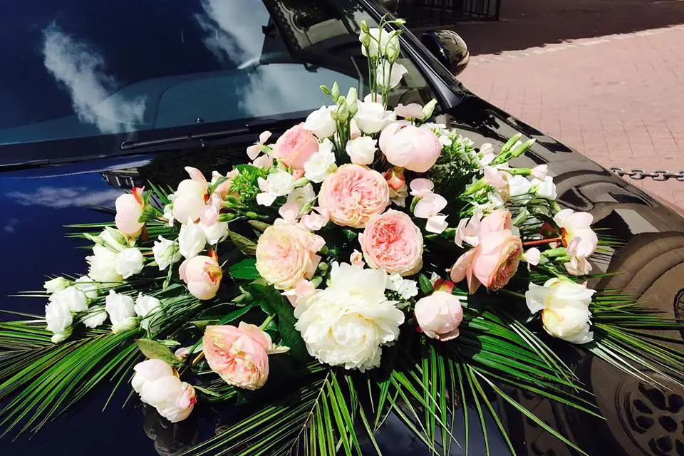 DS Global Services — photo 2