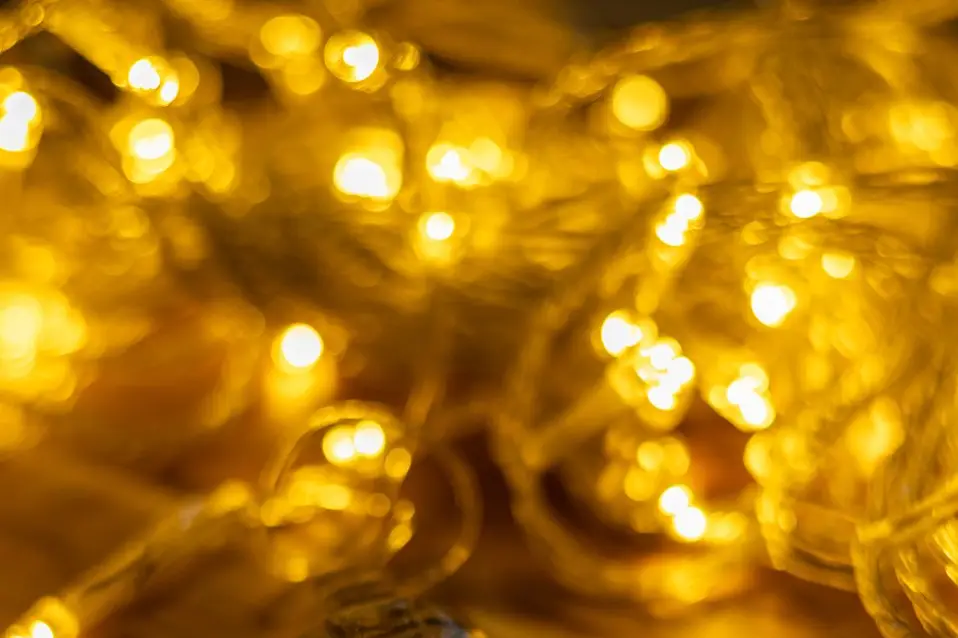 Stacy & Alexandre — photo 7