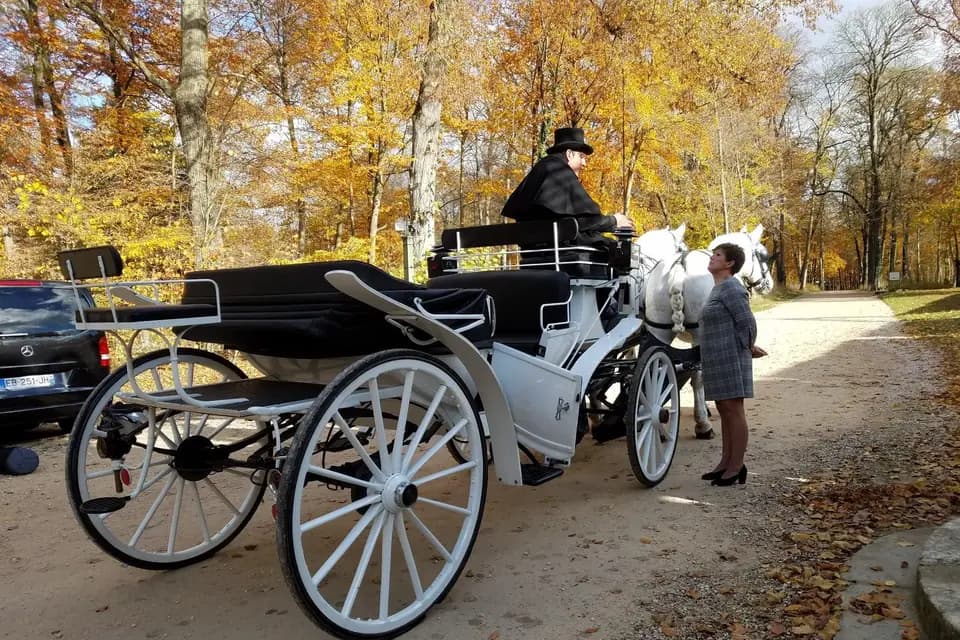 Les attelages du Guildo — photo 6