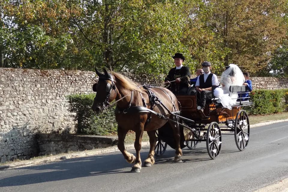 Les attelages du Guildo