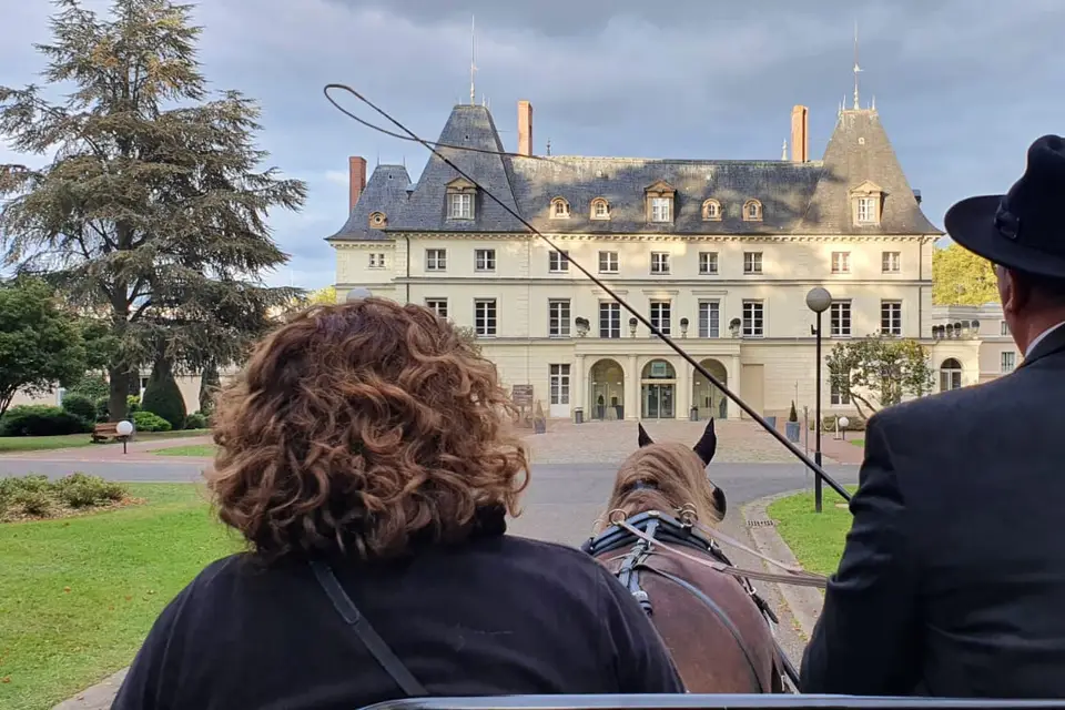 Les attelages du Guildo — photo 2