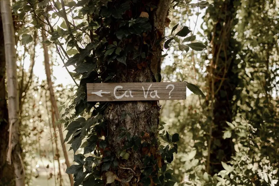 Zlow, décoration & fleurs — photo 5