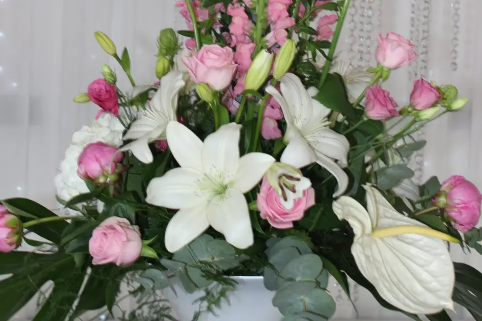 Les Floréales — photo 3