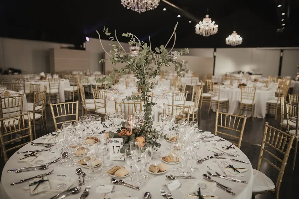 Concept Chic — photo 4