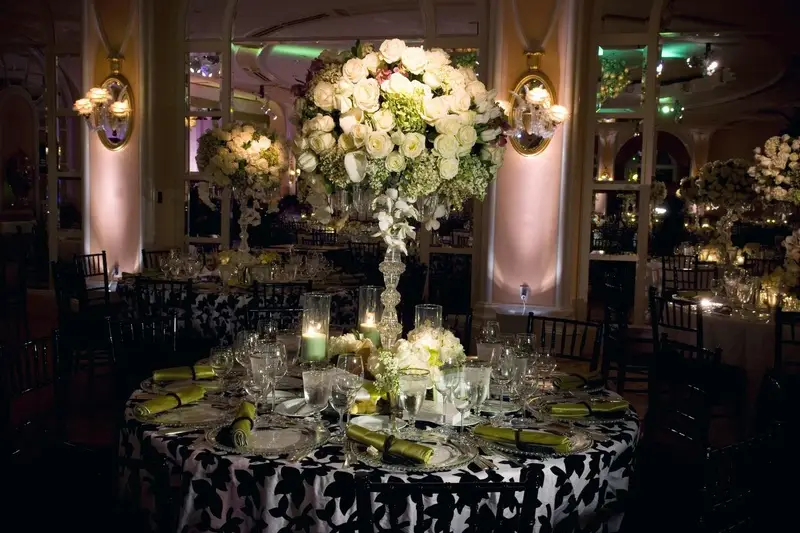 Concept Chic — photo 5