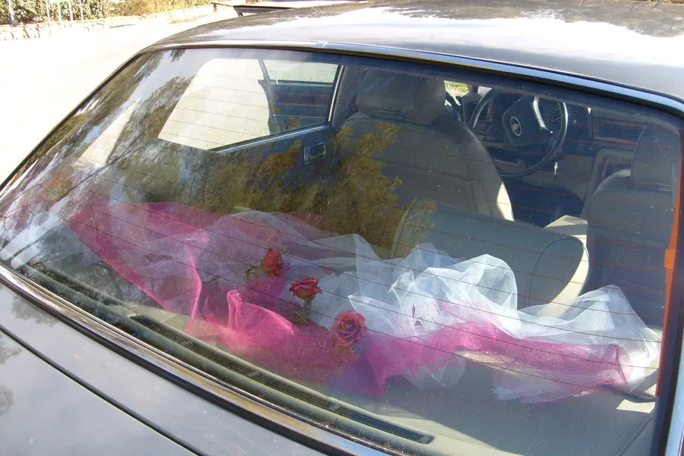 Mariagepourtous — photo 4