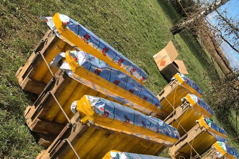 Romain Palard Event — photo 8